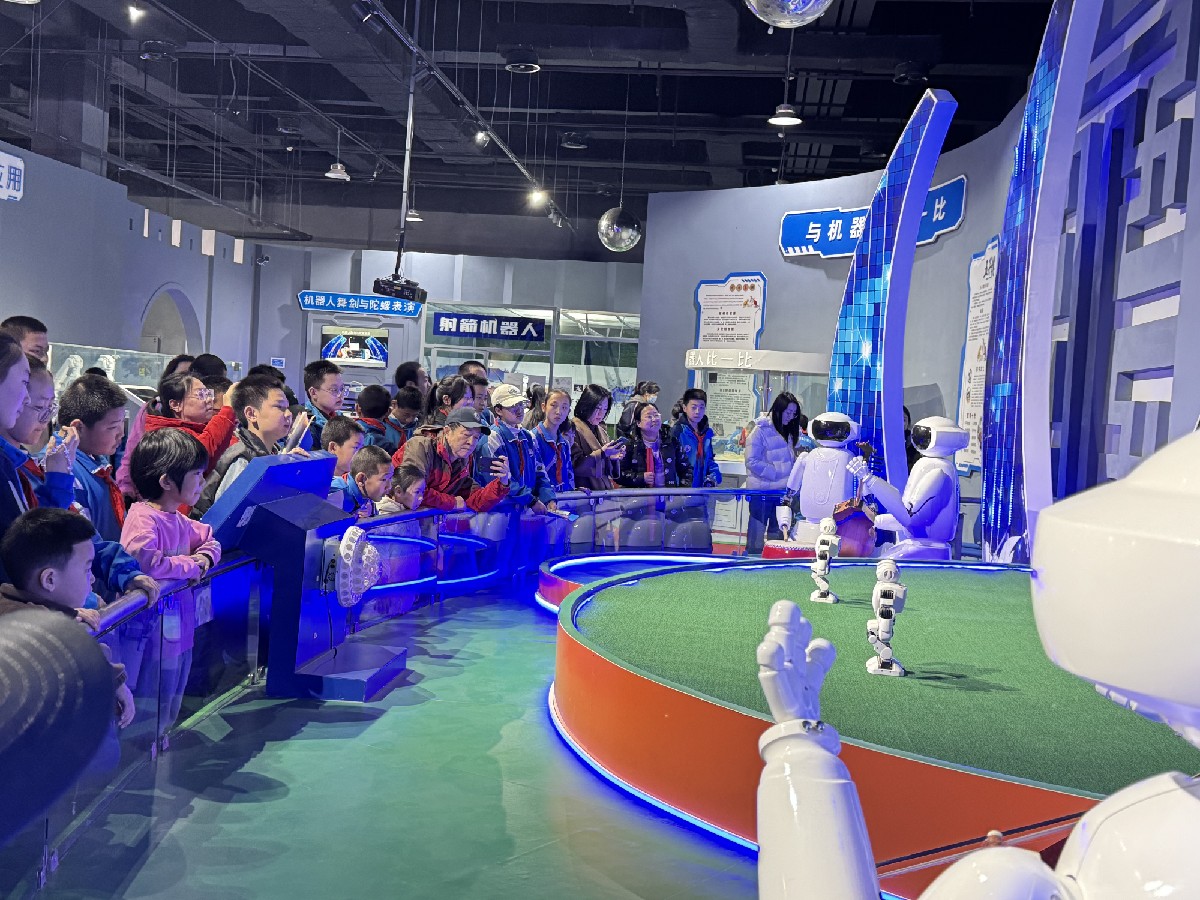 1200866408273_副本