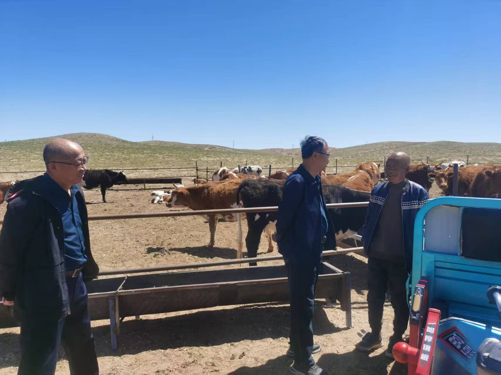 微信图片_20250522163136 微信图片_20250522163136