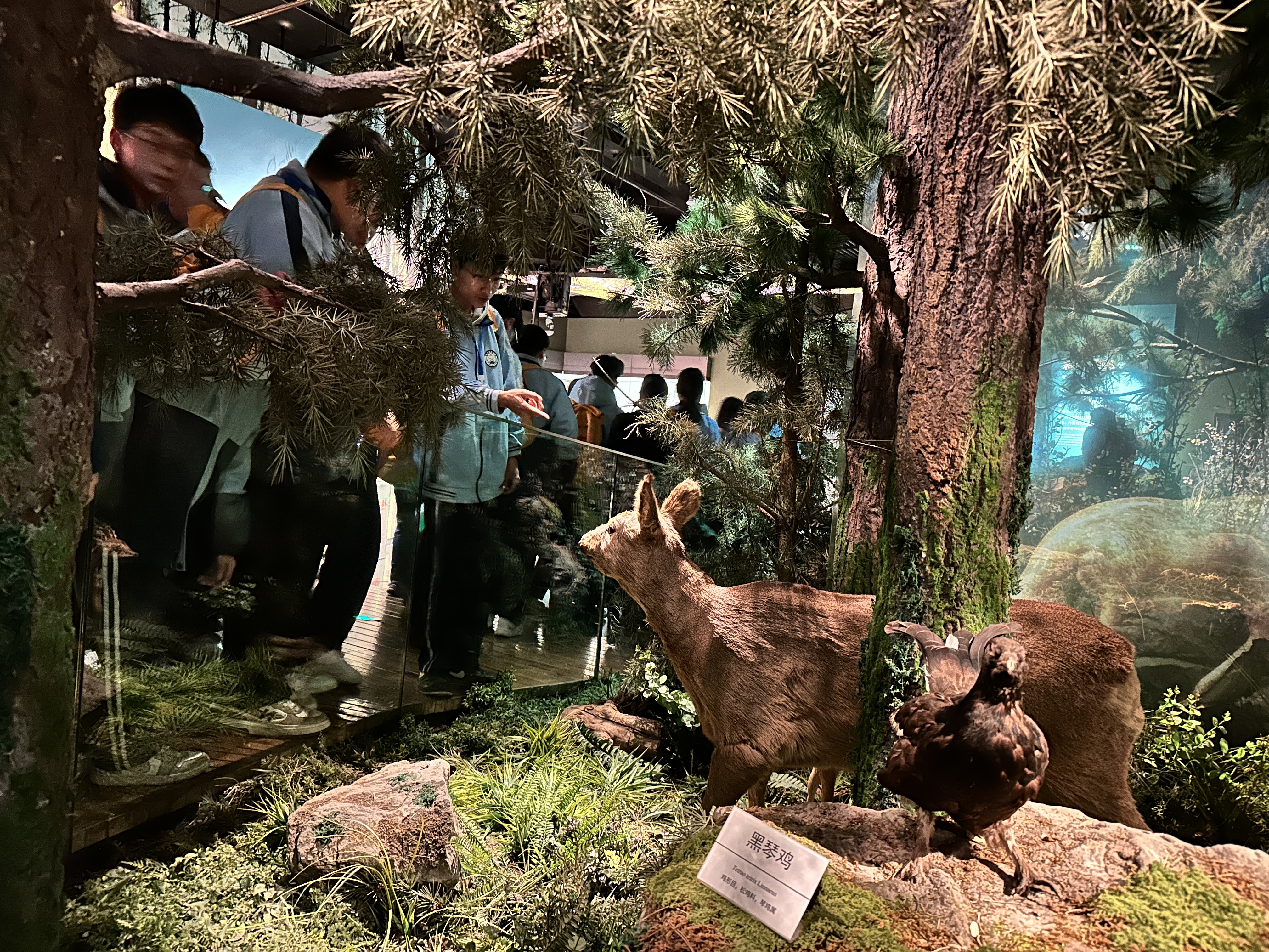 微信图片_2026-02-03_102019_519