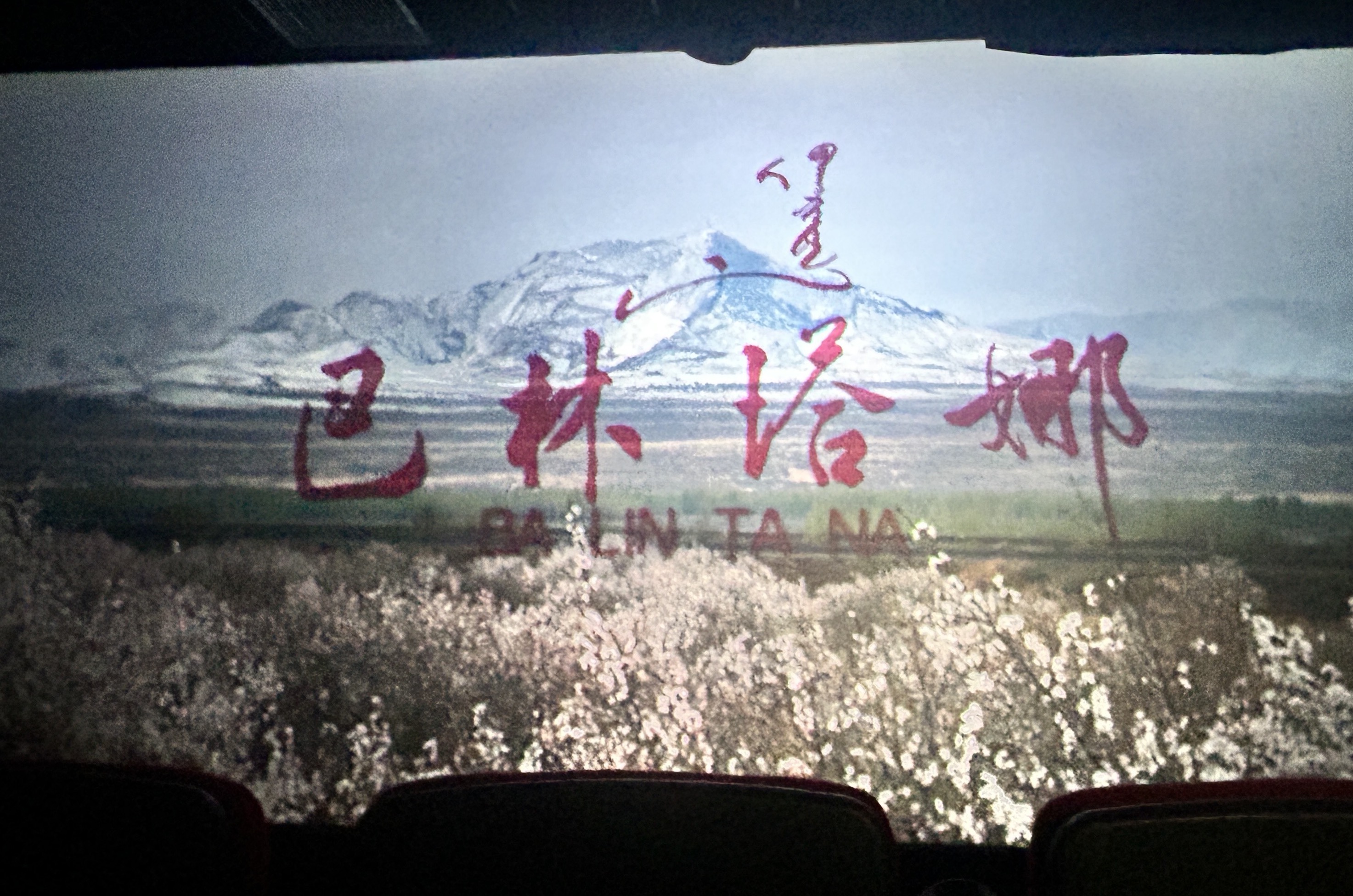 微信图片_20260429151821_733_2