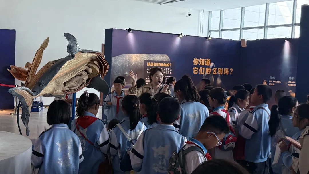微信图片_2026-05-25_094355_106