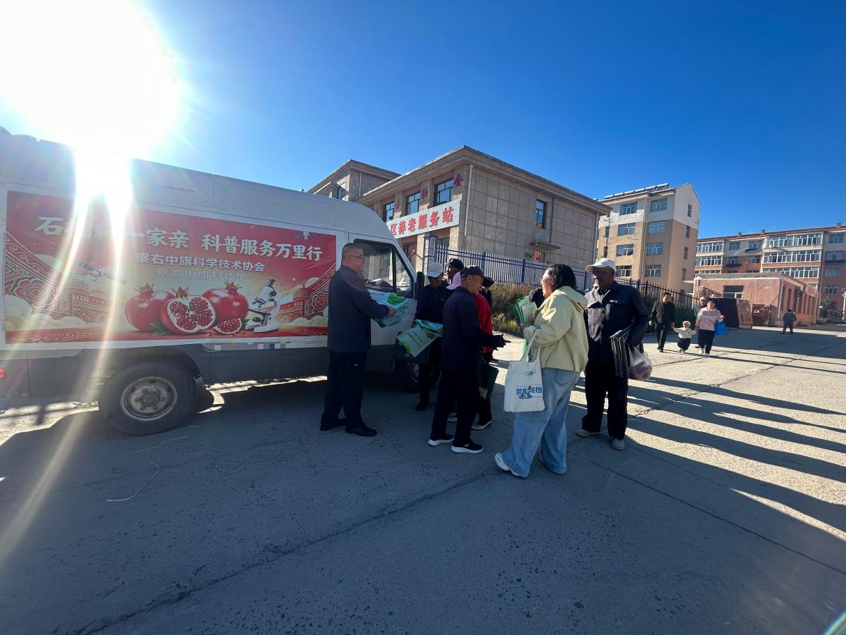 图片7