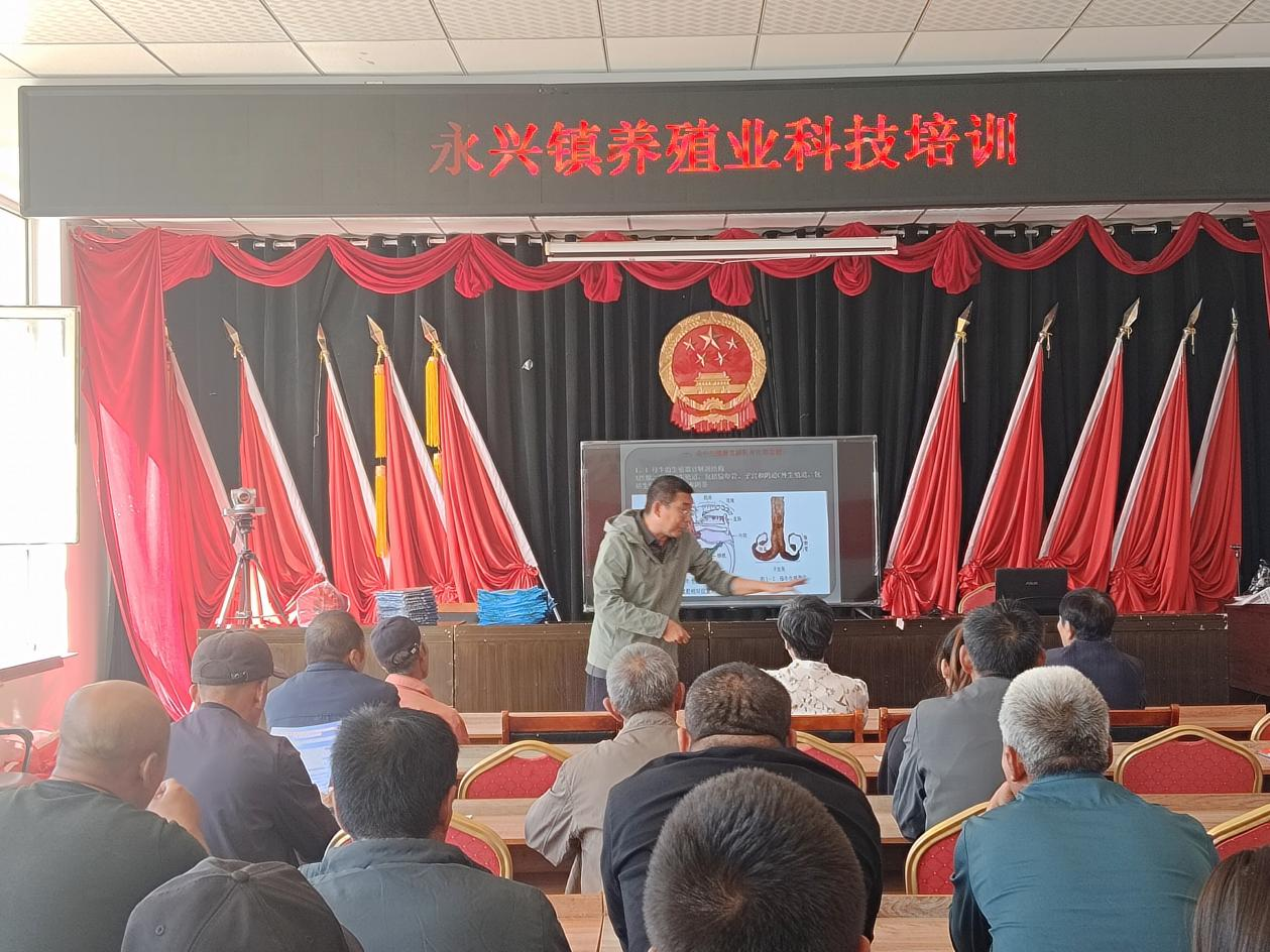 图片12 图片12