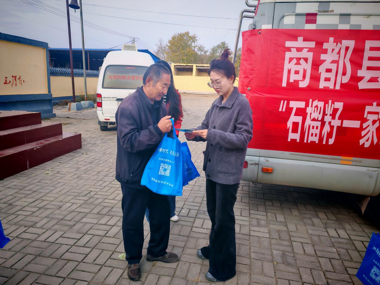图片11 图片11